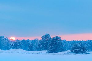 Verschneite Winterlandschaft in einem Treibsanddünengebiet