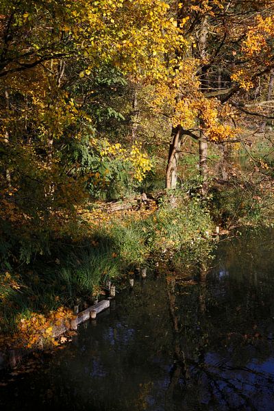 Spreewald van Thomas Jäger