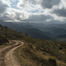 Eine Straße ins Nirgendwo von Charlotte Serrarens