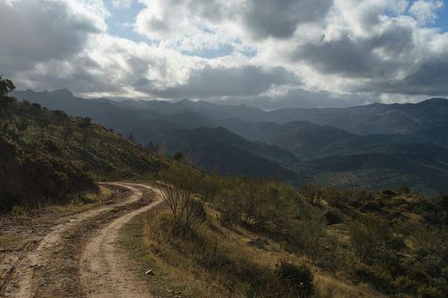 Eine Straße ins Nirgendwo von Charlotte Serrarens