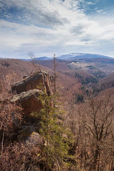 Blick von der Rabenklippe zum Brocken von Torsten Krüger