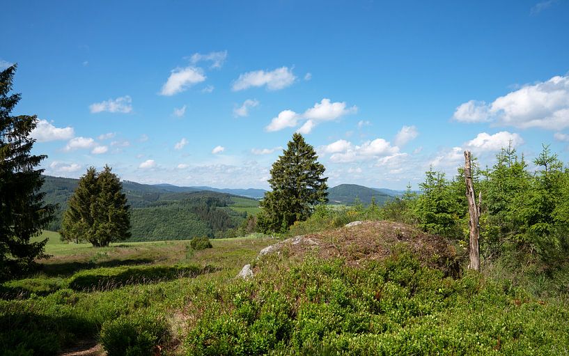 Landschapspanorama in Sauerland van Alexander Ludwig