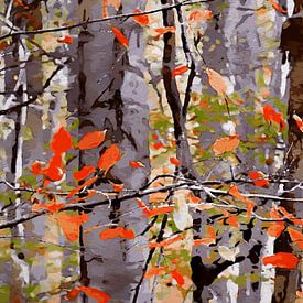 couleurs de l'automne sur Andreas Wemmje