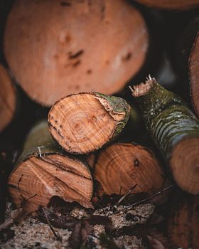 Brennholz-Stillleben