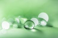 Rustgevende macro van een waterdruppel in groene tint van Bert Nijholt thumbnail
