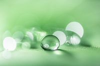 Soothing macro of a water drop in green hue