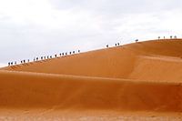 Massa toerisme Deadvlei Namibie