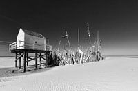Vlieland