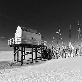 Vlieland by Andre Struik