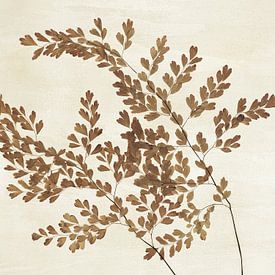 Maidenhair fern by Adriano Oliveira
