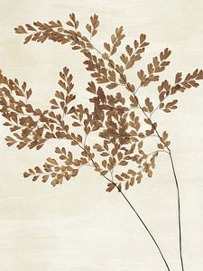 Maidenhair fern