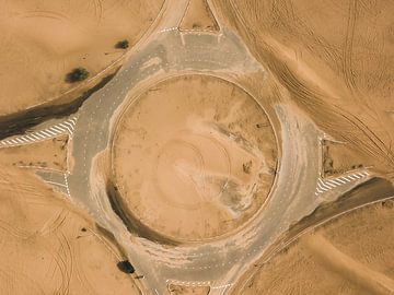 Rhododendron abandonné dans le désert de Dubaï