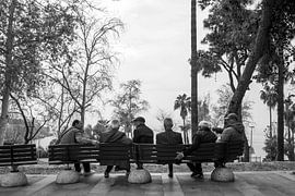 Palabres sur le banc du parc sur Flatfield