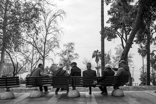 Palaver on the park bench