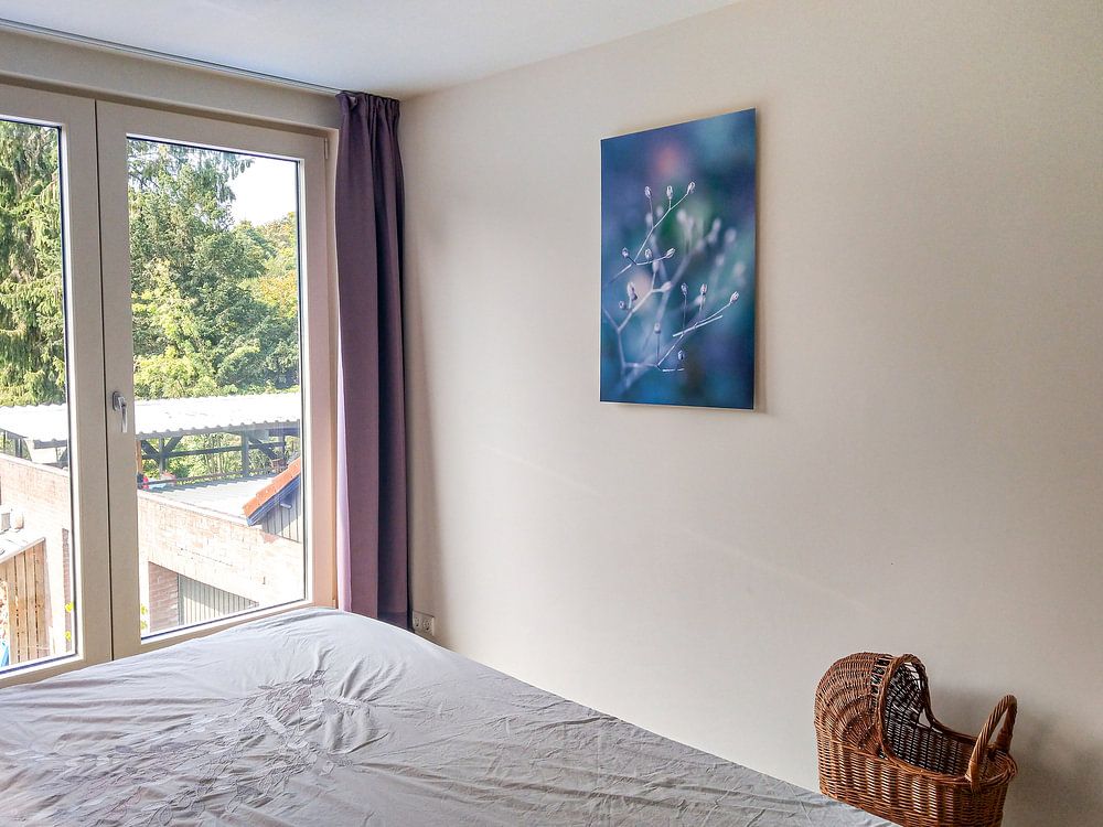 Colour boosting buds by Arja Schrijver Photography