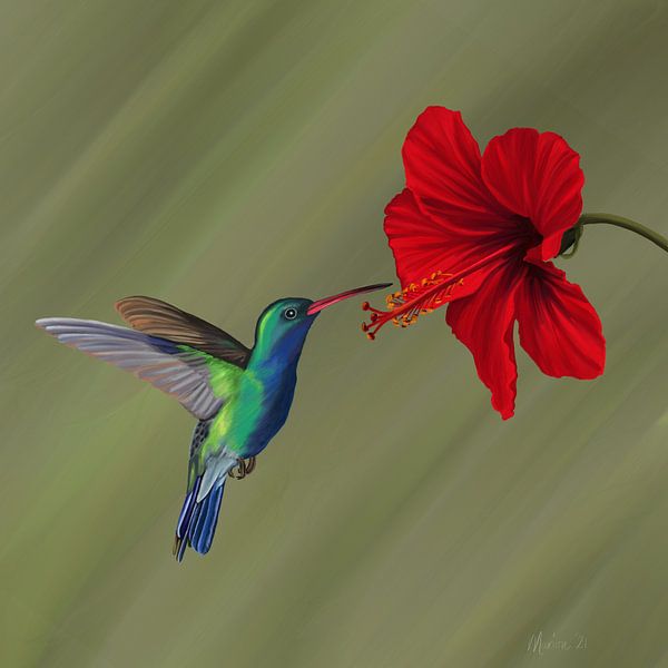 Kolibri in der Nähe von roten Hibiskusblüten von Marion Moerland