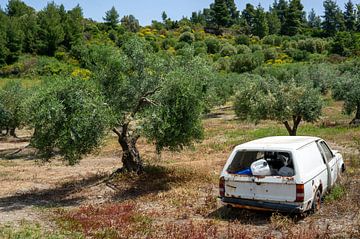 Old rusty car in the olive groves in Greece by Animaflora PicsStock