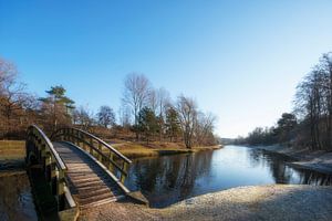 Wintertag in der "Amsterdamse Waterleidingduinen" 