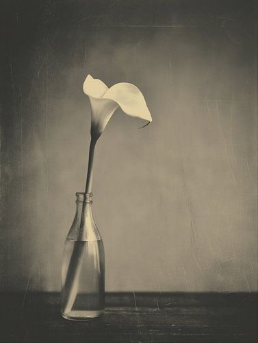 Fleur dans un vase n° 5