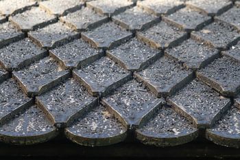 Staafkerk dak.Noorwegen