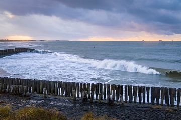 Where the sea comes to rest by Sander Poppe