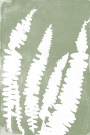 White fern leaves in retro style. Modern botanical minimalist art in sage green by Dina Dankers