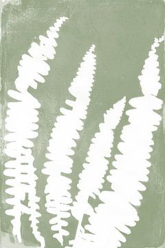 Witte varenbladeren in retrostijl. Moderne botanische minimalistische kunst in saliegroen van Dina Dankers