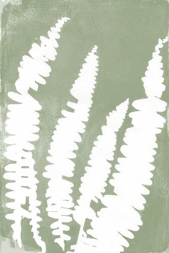 Feuilles de fougère blanches dans un style rétro. Art botanique moderne et minimaliste en vert sauge