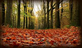 herfstkleed von Hanneke de Vries-Koning