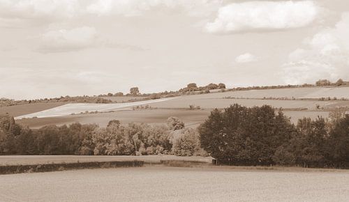 Limburg landscape in sepia
