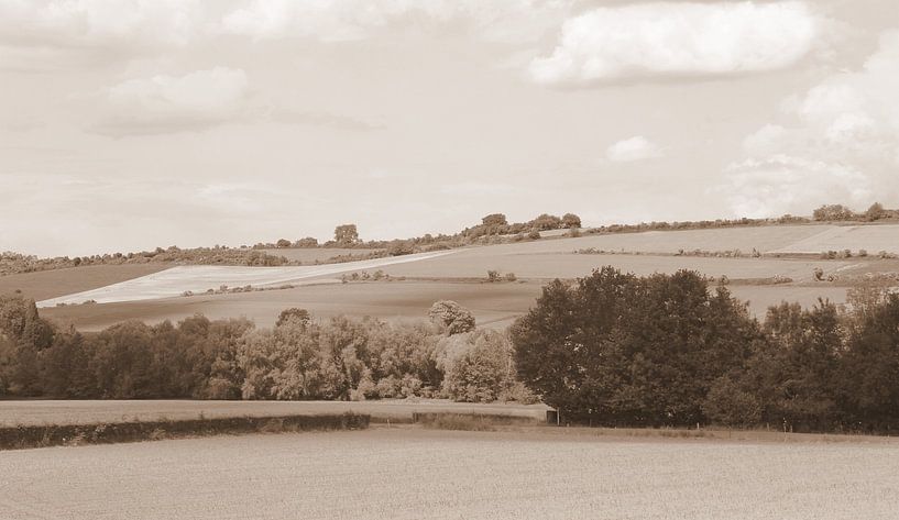 Limburger Landschaft in Sepia von Jose Lok