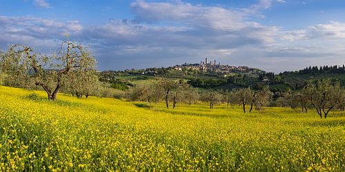 San Gimignano, Toscane, Italië