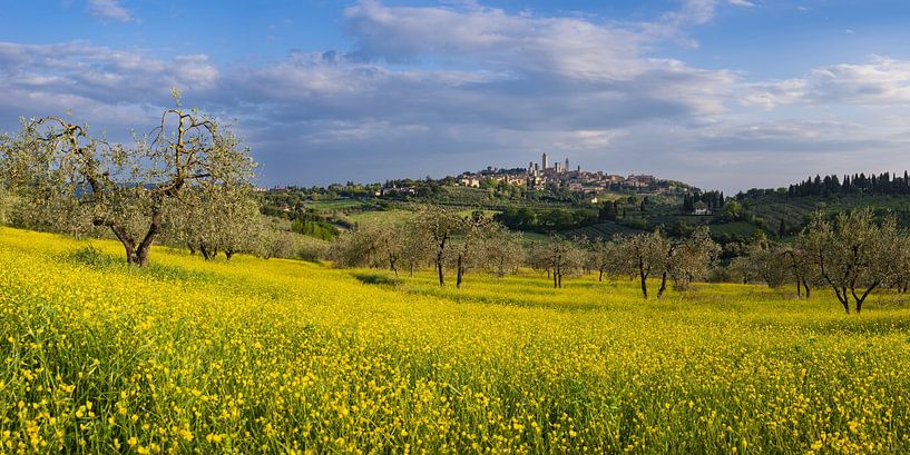 San Gimignano, Toskana, Italien von Walter G. Allgöwer