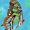 Papillon bleu-vert avec des fleurs psychédéliques sur Maud De Vries
