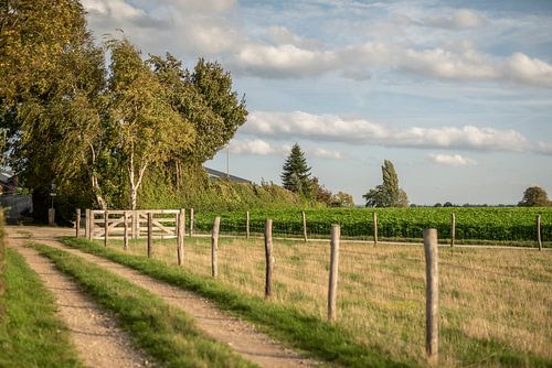 Sibbe, Maastrichterweg op een zonnige dag van Flachsfotografie
