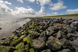 Waddendijk van Terschelling