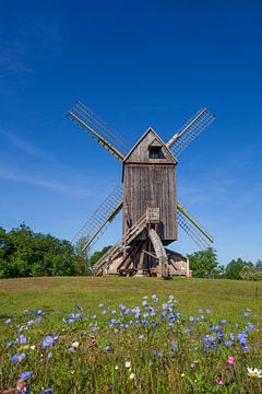 Bockwindmühle, Wehe, Rhaden, Ostwestfalen-Lippe, Nordrhein-Westfalen, Deutschland, Europa