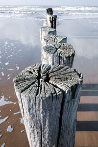 Poteaux en bois du brise-lames sur la plage