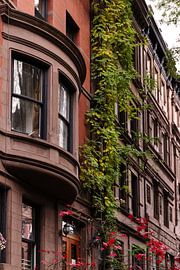 New York:  Upper West Side brownstone huis met klimop van Shaquille Maarschalkerweerd
