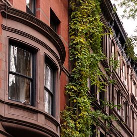 New York:  Upper West Side brownstone huis met klimop van Shaquille Maarschalkerweerd