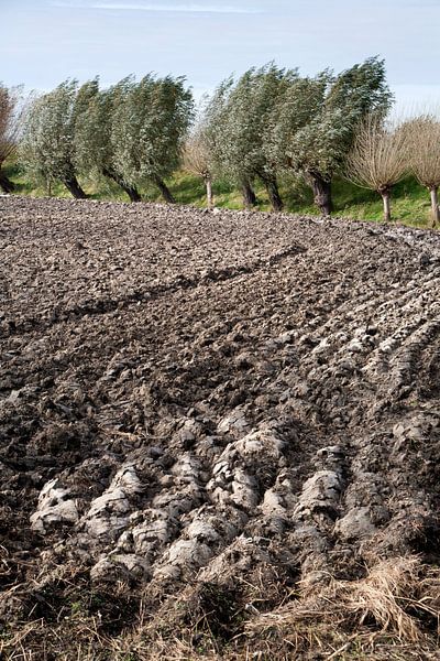 Gepflügtes Feld und Weiden im Wind von Peter de Kievith Fotografie