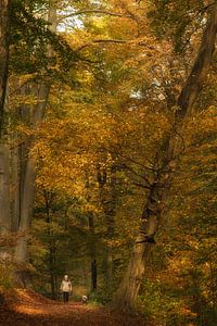 Herfst van Moetwil en van Dijk - Fotografie