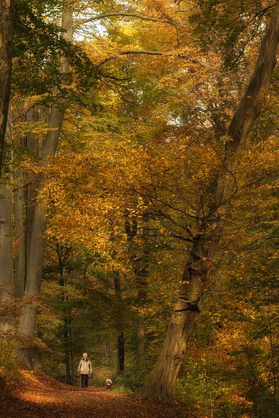 Autumn by Moetwil en van Dijk - Fotografie