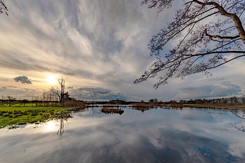 Empese- en Tondenseheide 6