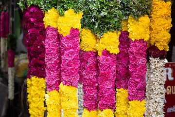 Bloemenslingers op markt in Pondicherry, India