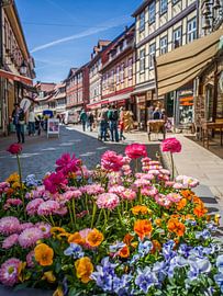 A sea of blossoms in Wernigerode by Thomas Bugdoll