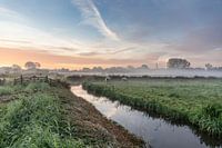 Mistige herfstochtend Oudorper polder