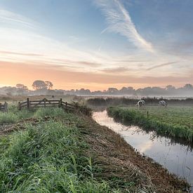 Matinée brumeuse d'automne Oudorper polder, Pays Bas. sur jaapFoto