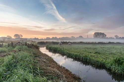 Matinée brumeuse d'automne Oudorper polder, Pays Bas. sur jaapFoto