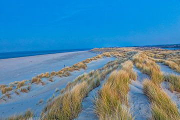 L'herbe de Marram dans les dunes de Texel Eierland sur Kevin Baarda